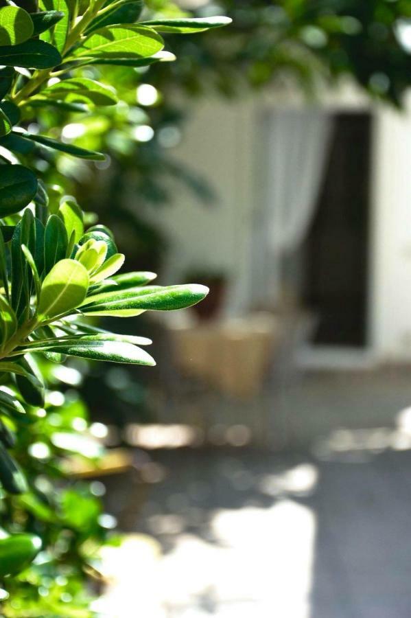 Hotel Green House Beach Mondello Exterior foto